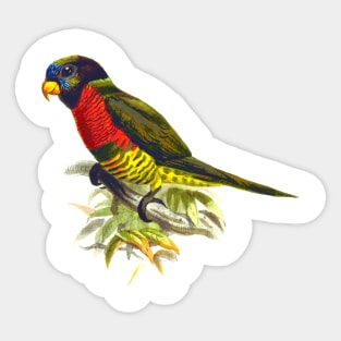 Cute birds #2 Sticker